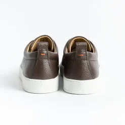 HENDERSON Sneakers* - Sneakers - Clyde - Brown